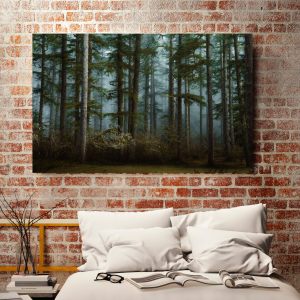 Photograph of moss-covered woods in the Pacific Northwest shrouded in fog.